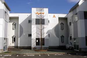 写真1