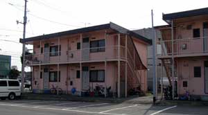 写真1