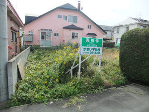 写真1
